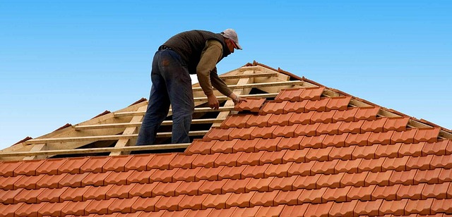 Picking a Roof Company